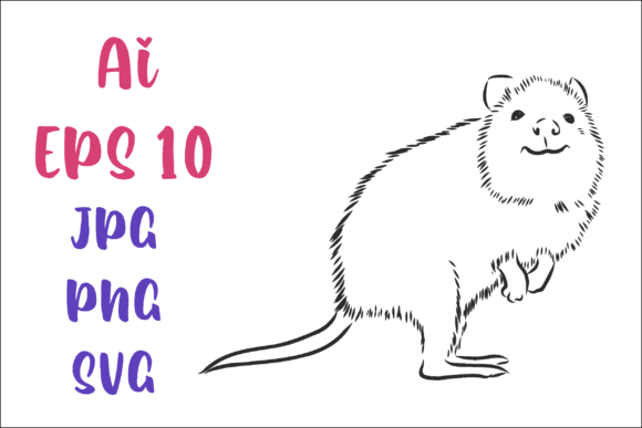 Download Kwoka Kangaroo Vector Sketch - Sketch Collection